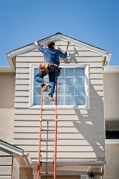 Best Stone Veneer Siding  in Home Gardens, CA